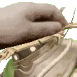 einarpat