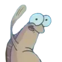 ooghi