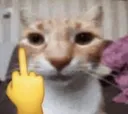 fucku fucku