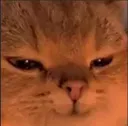 catheh