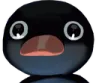noot_noot
