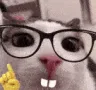 UmmMeowcthually