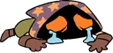 wizsob