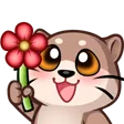 Kiliflower