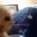 bitch