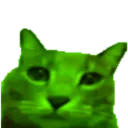 fnacbog