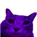 fnacbehindslaughter