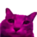 fnacpink