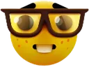 dss