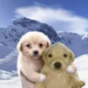 ammm