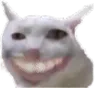 teef