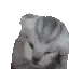 catvoices