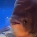 huh