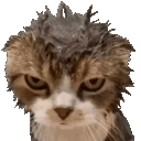 Wet_Cat_Tongue Discord Emoji