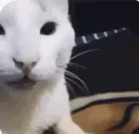 Eheheheh