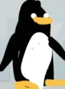 wtfpengu
