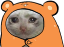 umaruSadCat Discord emoji