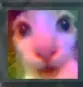 mow