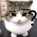 whaat