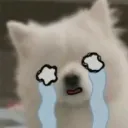 khok