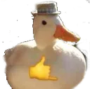 Piola