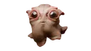 puri puri