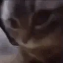 chipichipi