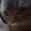 chipichipi