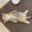 eepy eepy