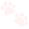 2_catpaws Discord Emoji