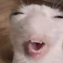 STANDOPOWA STANDOPOWA