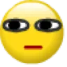 erm