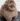 scoobert2