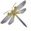 Jewelwing_Dragonfly
