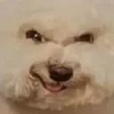 hehehehe