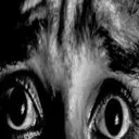 Fear Fear