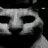 gatodespair gatodespair