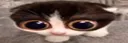MONKA MONKA