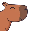 FanKapybara