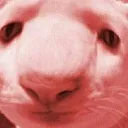 bruh