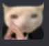 businesscat