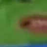 DoAcid5 DoAcid5