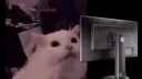 catblindflashbanglightmode