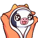 Cow_blanket