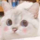blush Discord emoji