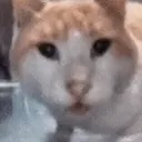 whuh