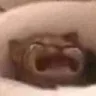 waaa waaa