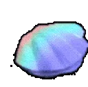 cozy_clam