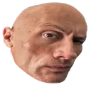 seismisk