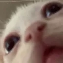 halpme
